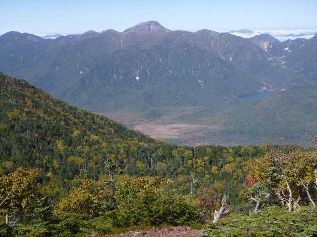 f:id:gomashio-oyaji:20200719204904j:plain