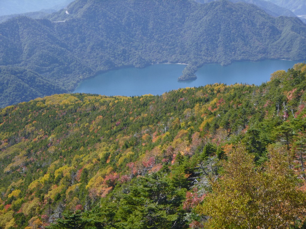 f:id:gomashio-oyaji:20200719204953j:plain