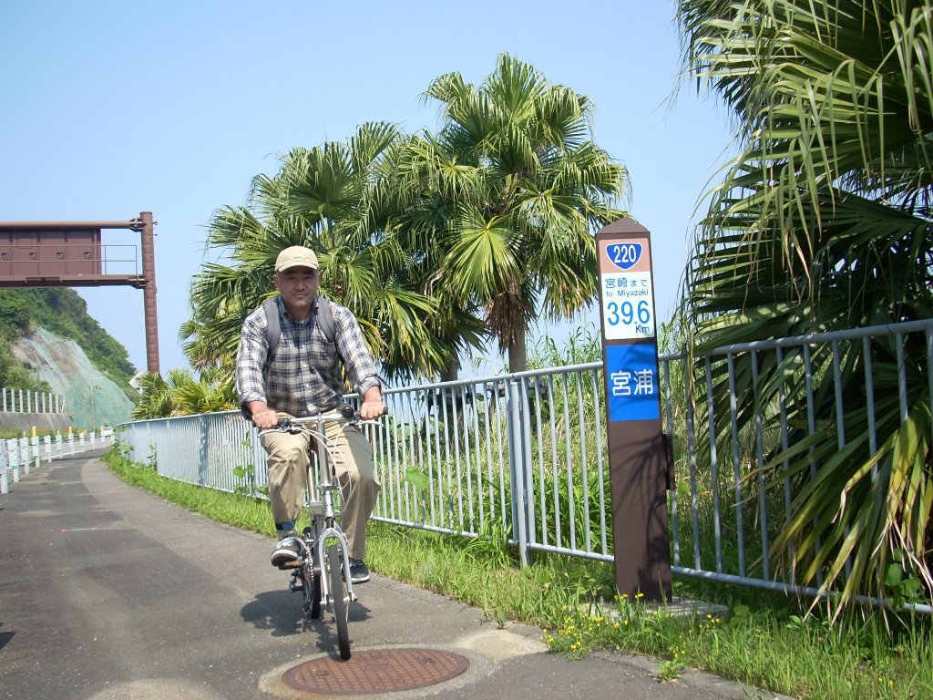 f:id:gomashio-oyaji:20200723223119j:plain