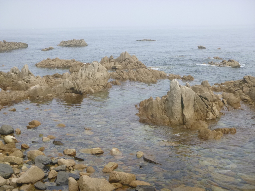 f:id:gomashio-oyaji:20200806222217j:plain