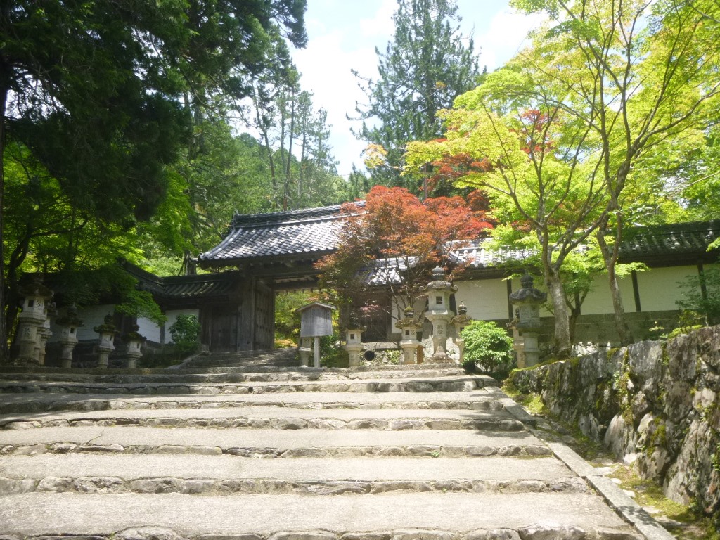 f:id:gomashio-oyaji:20200811214511j:plain