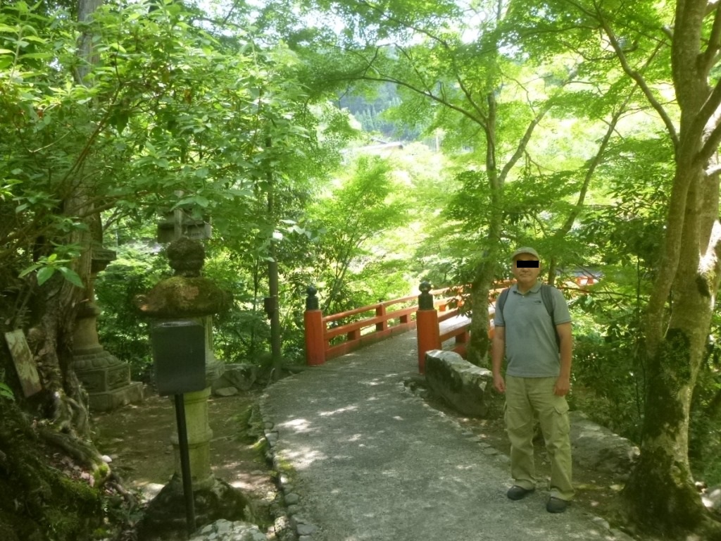 f:id:gomashio-oyaji:20200811214532j:plain