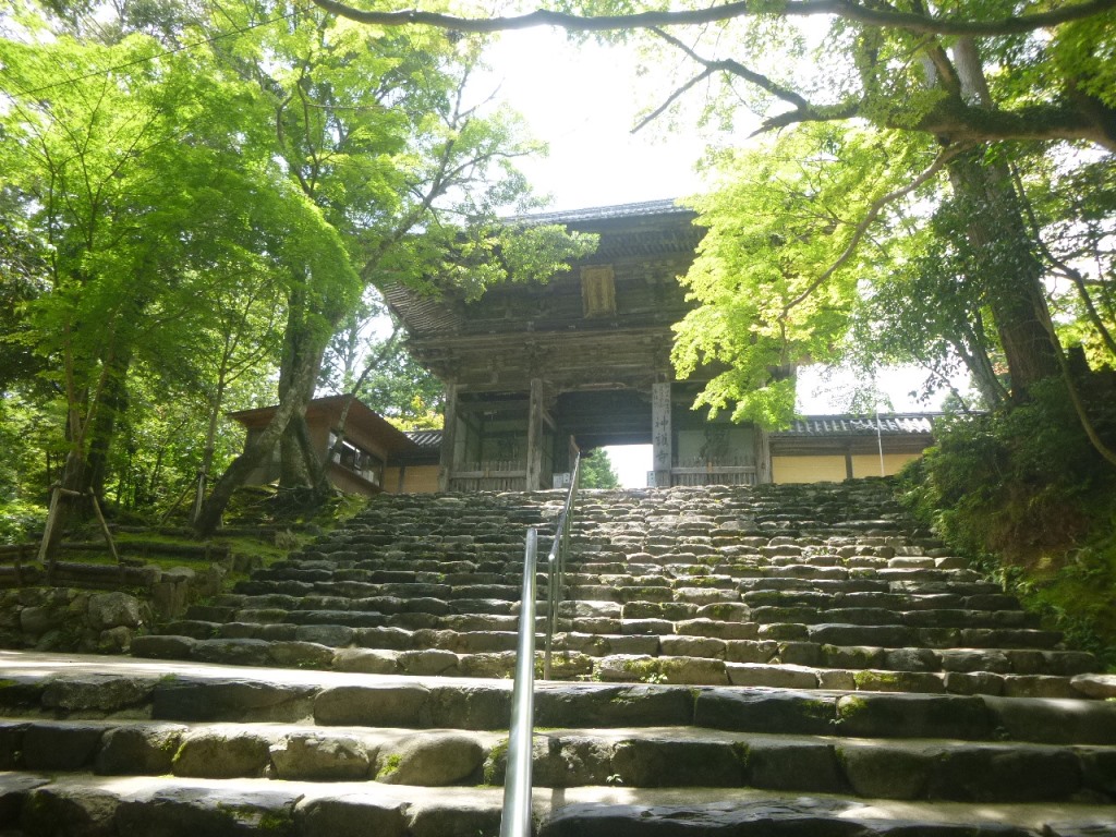 f:id:gomashio-oyaji:20200811214610j:plain