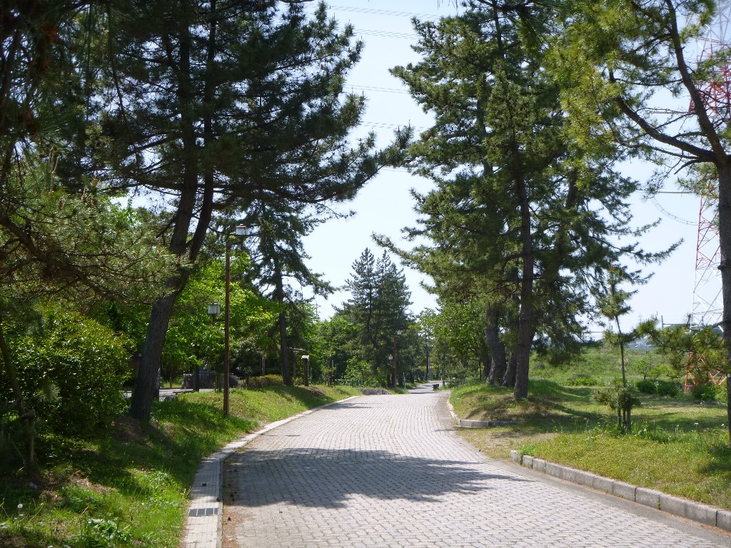 f:id:gomashio-oyaji:20200829220103j:plain