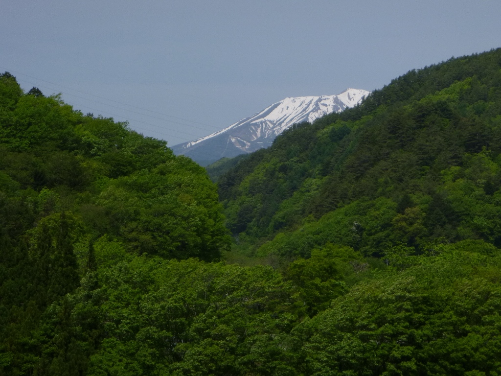 f:id:gomashio-oyaji:20200830205116j:plain