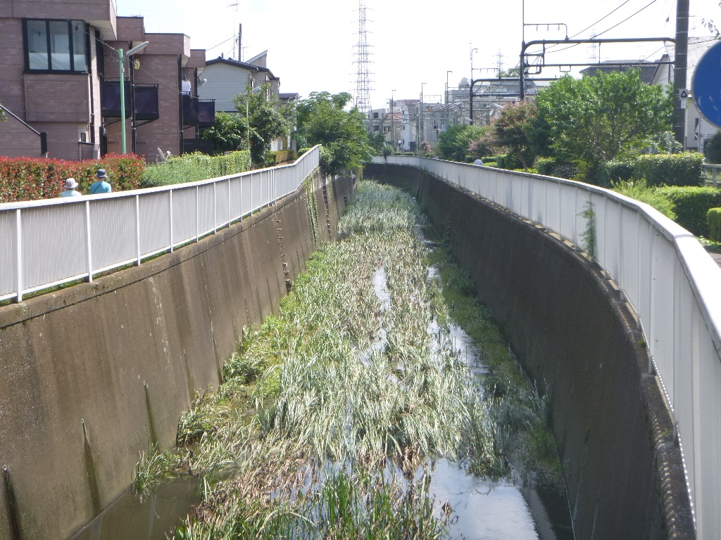 f:id:gomashio-oyaji:20200912223222j:plain