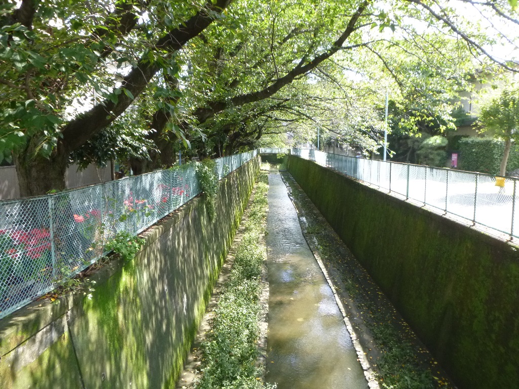 f:id:gomashio-oyaji:20200912223303j:plain