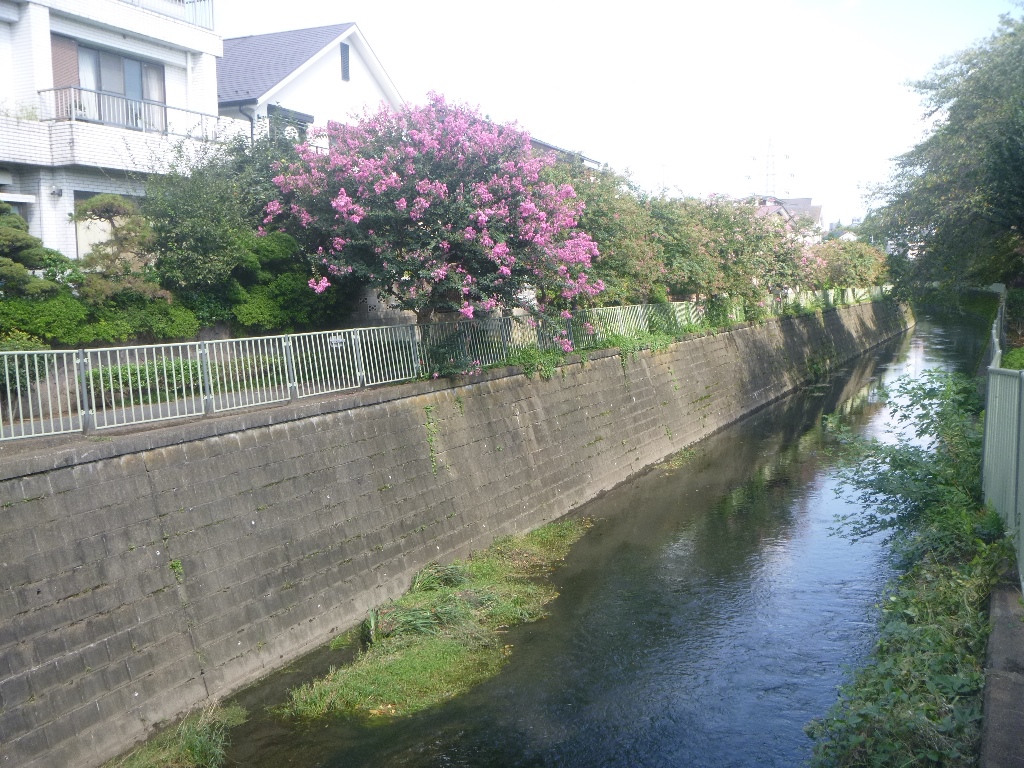 f:id:gomashio-oyaji:20200912223349j:plain
