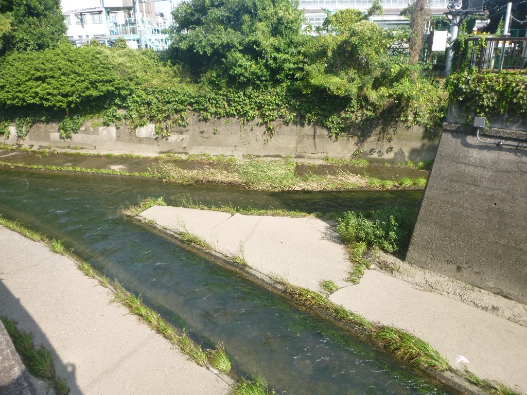 f:id:gomashio-oyaji:20200912223435j:plain
