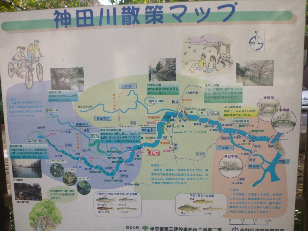 f:id:gomashio-oyaji:20200912223557j:plain
