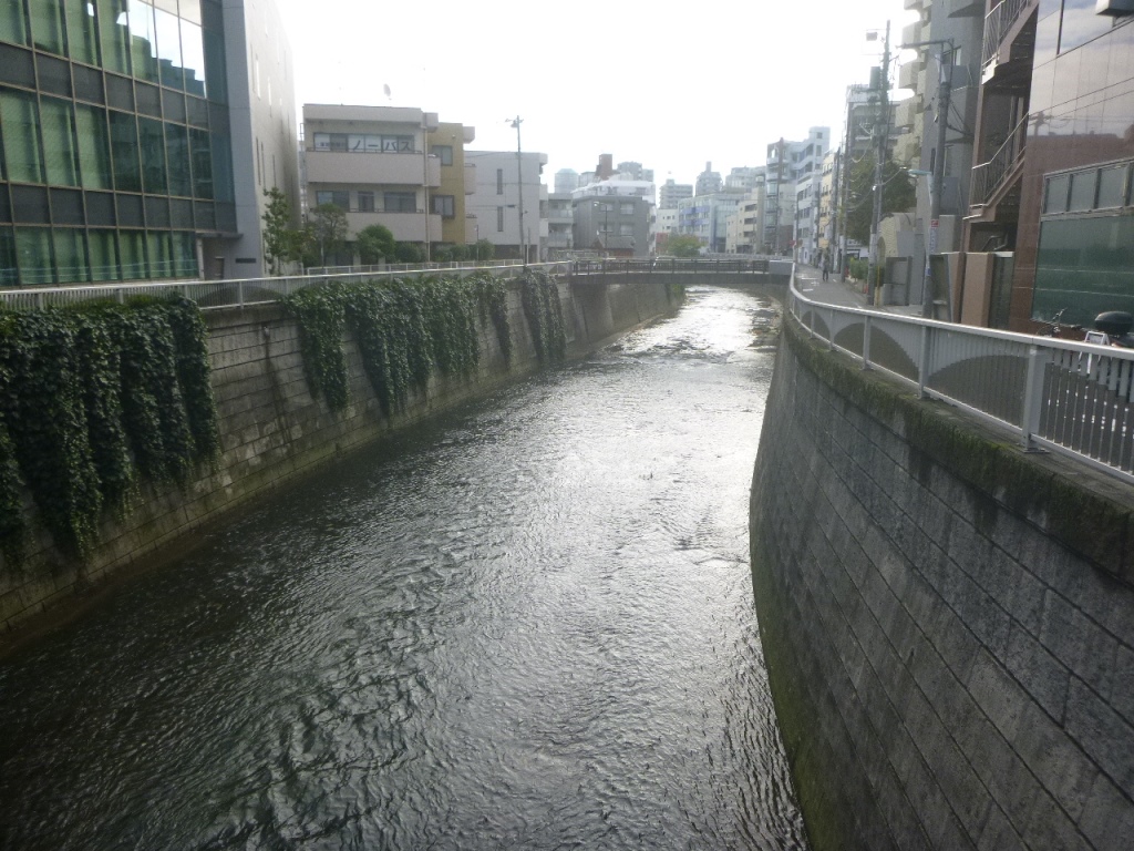 f:id:gomashio-oyaji:20200915213100j:plain f:id:gomashio-oyaji:20200915213100j:plain