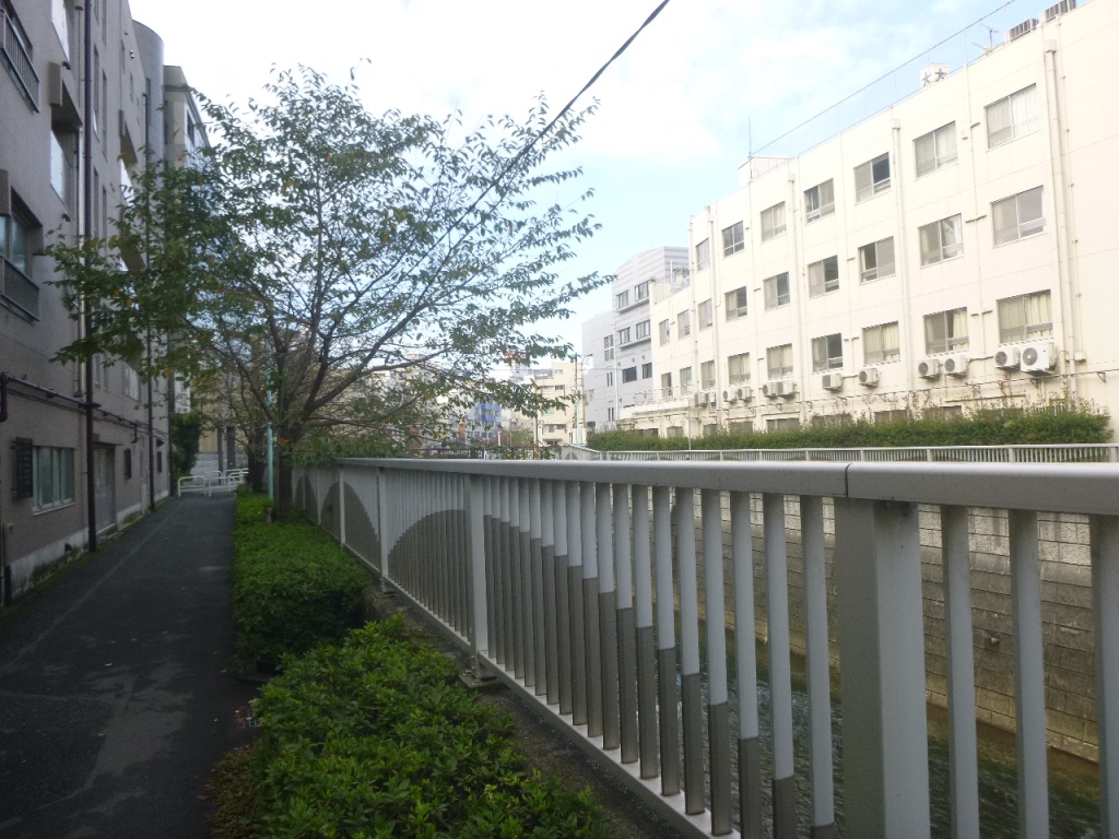 f:id:gomashio-oyaji:20200915213124j:plain f:id:gomashio-oyaji:20200915213124j:plain