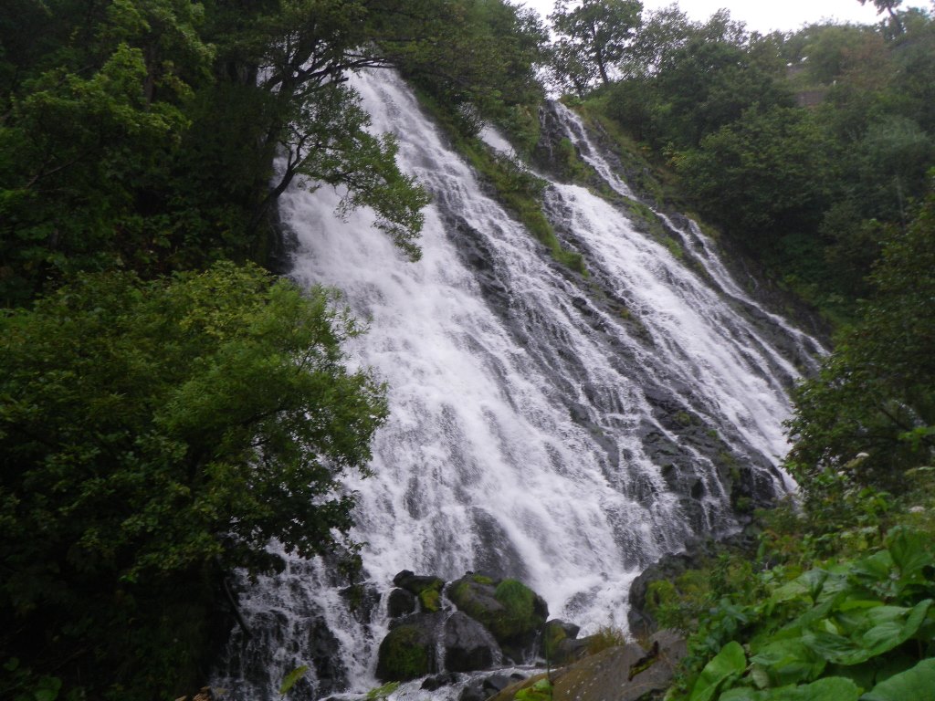 f:id:gomashio-oyaji:20201005215911j:plain