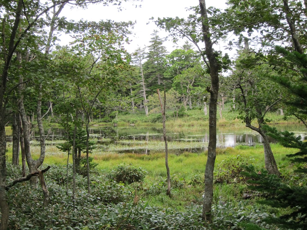 f:id:gomashio-oyaji:20201005220508j:plain