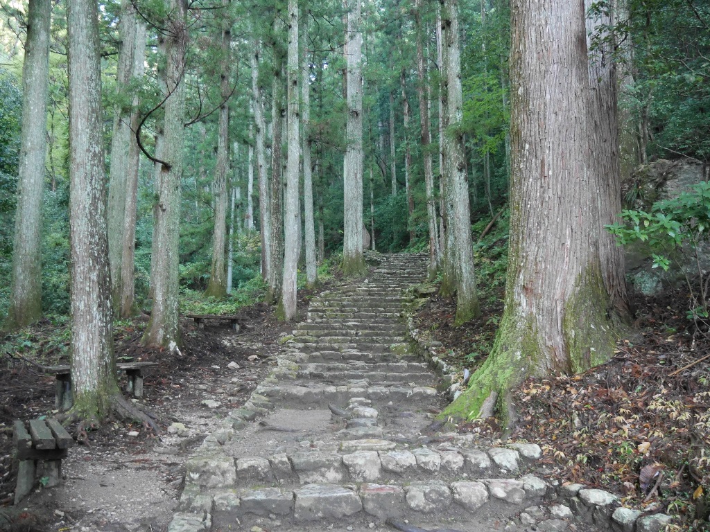 f:id:gomashio-oyaji:20201009222751j:plain f:id:gomashio-oyaji:20201009222751j:plain