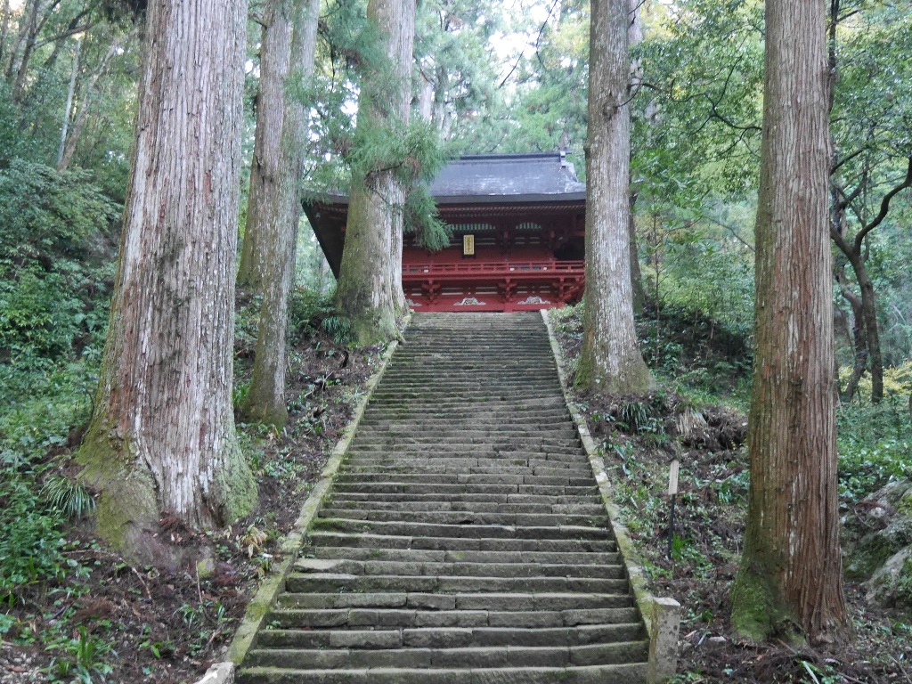 f:id:gomashio-oyaji:20201009222817j:plain f:id:gomashio-oyaji:20201009222817j:plain