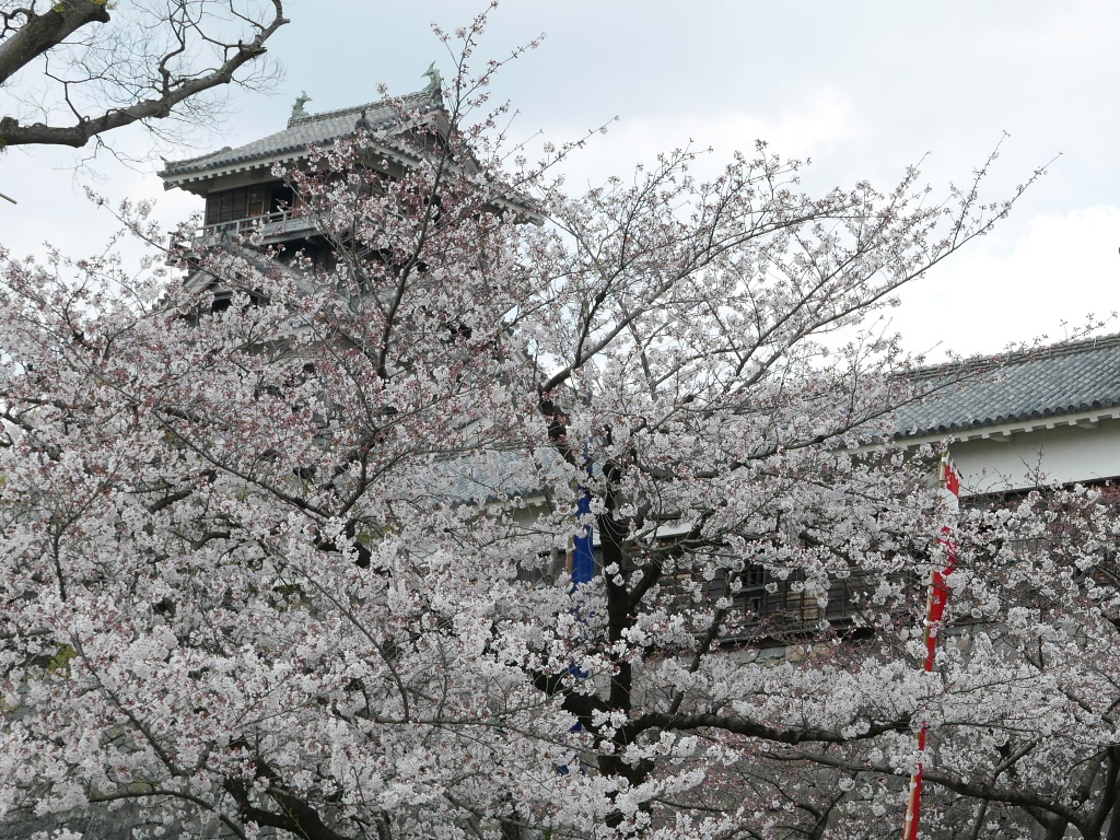 f:id:gomashio-oyaji:20201020220809j:plain