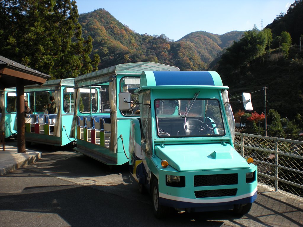 f:id:gomashio-oyaji:20201104215533j:plain f:id:gomashio-oyaji:20201104215533j:plain