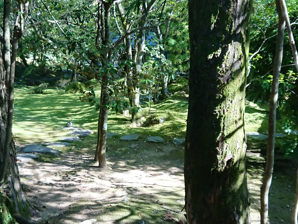 f:id:gomashio-oyaji:20201124220536j:plain