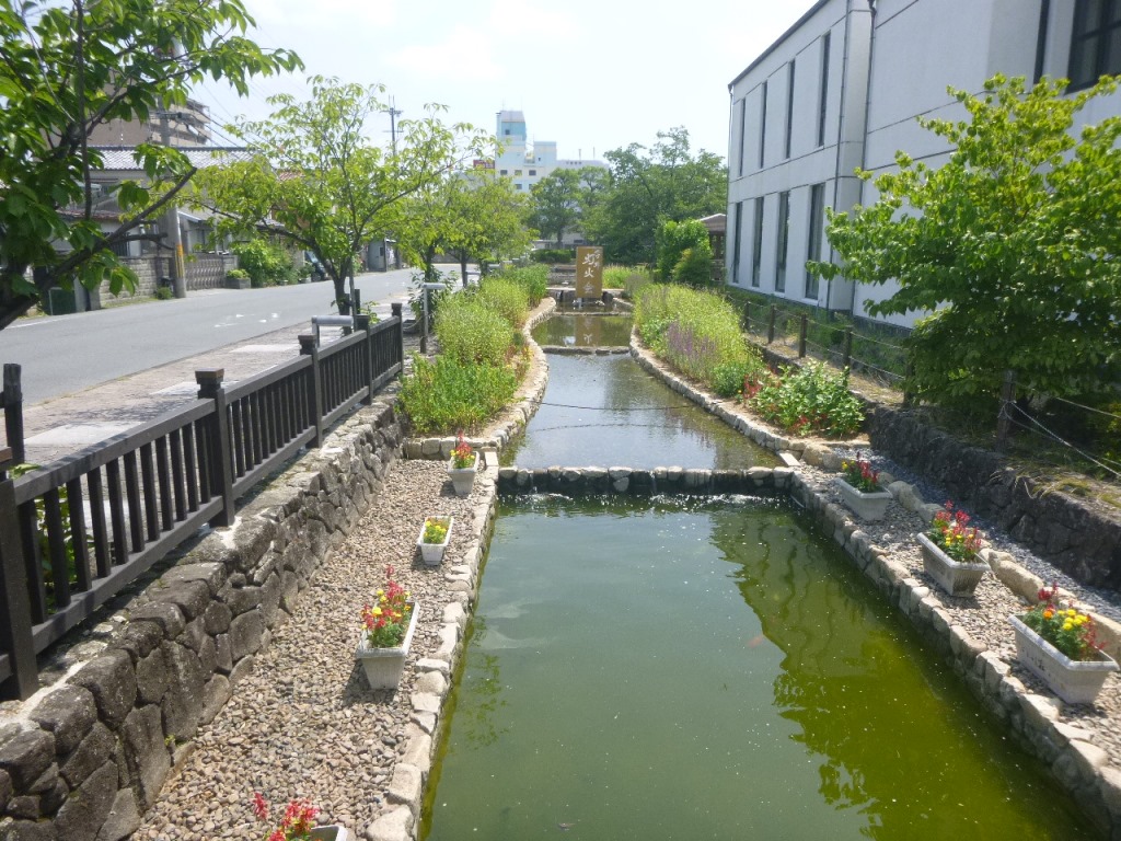f:id:gomashio-oyaji:20201209212631j:plain