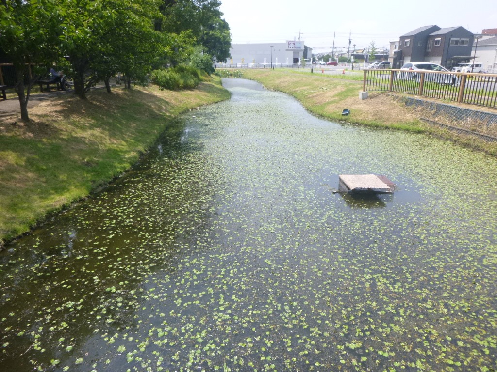 f:id:gomashio-oyaji:20201209212658j:plain