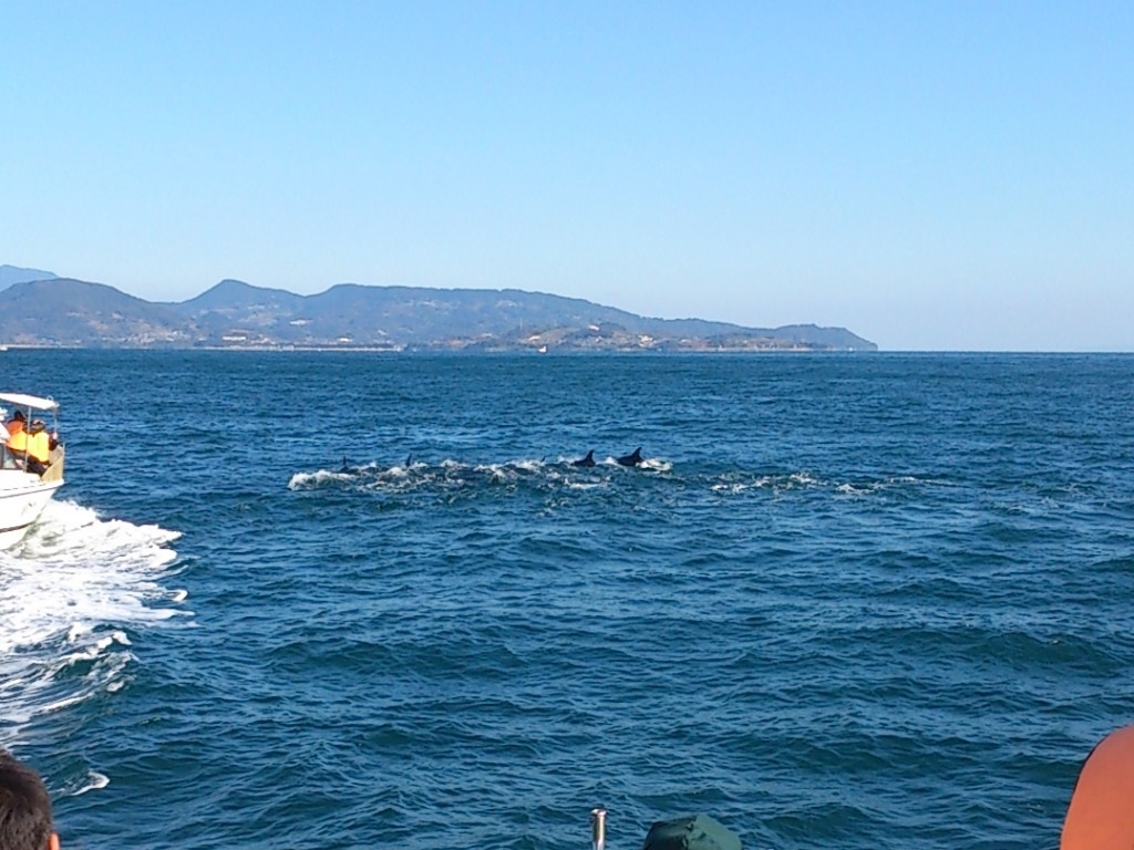 f:id:gomashio-oyaji:20201210205539j:plain