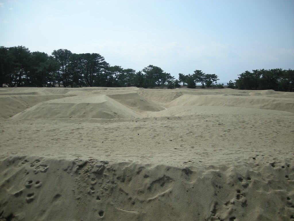 f:id:gomashio-oyaji:20201213205312j:plain