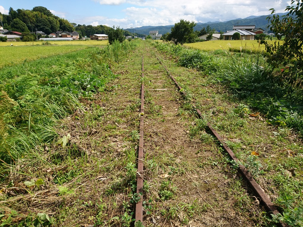 f:id:gomashio-oyaji:20210111185055j:plain