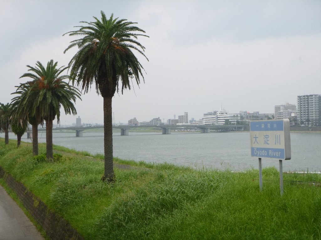 f:id:gomashio-oyaji:20210114220020j:plain