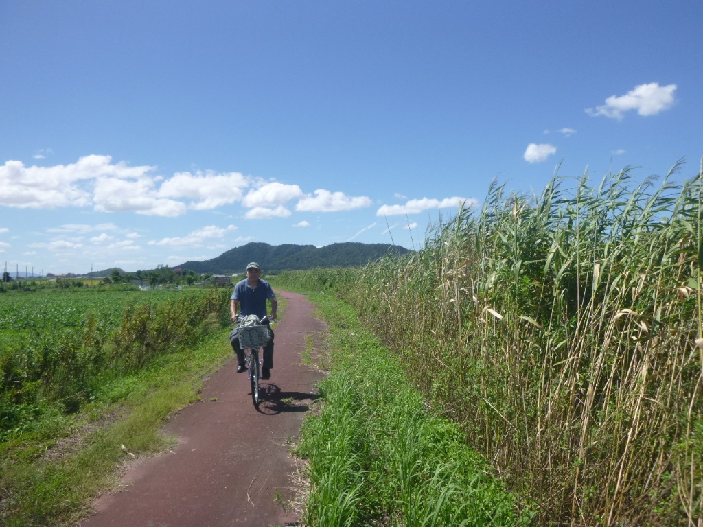 f:id:gomashio-oyaji:20210124200143j:plain