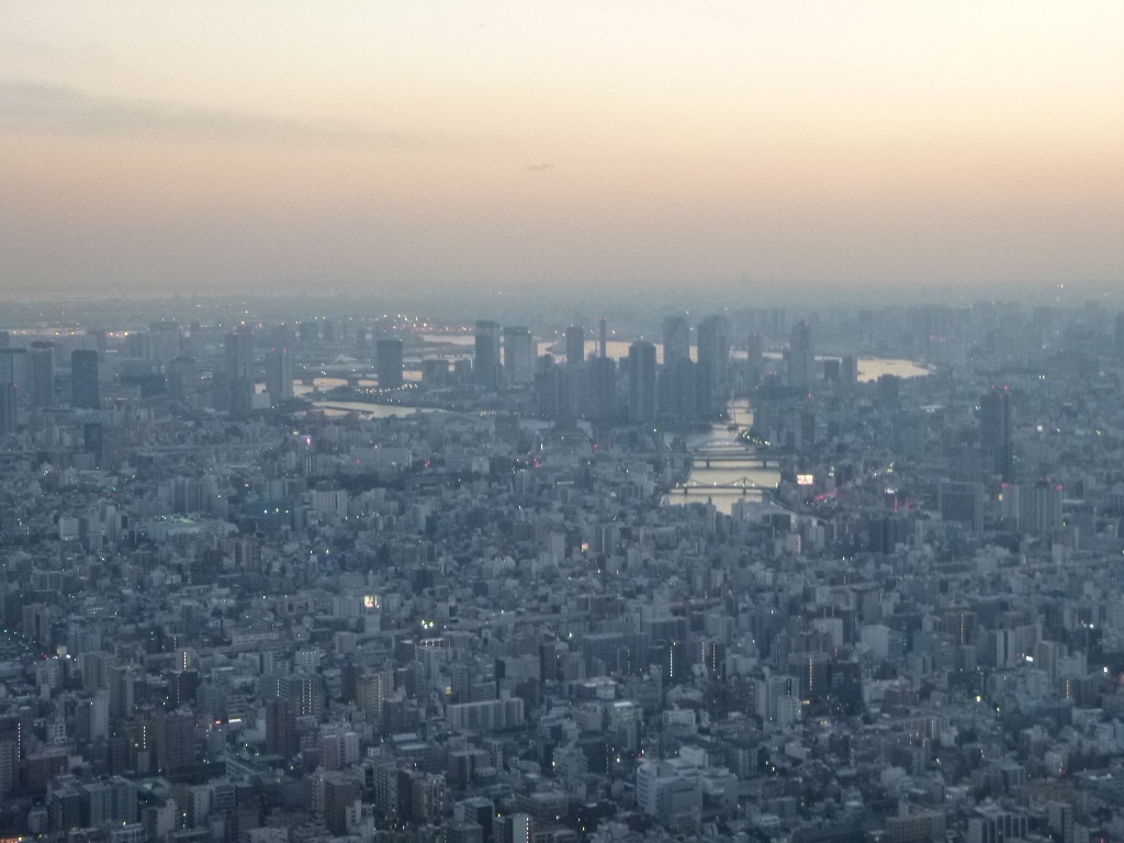 f:id:gomashio-oyaji:20210311221633j:plain