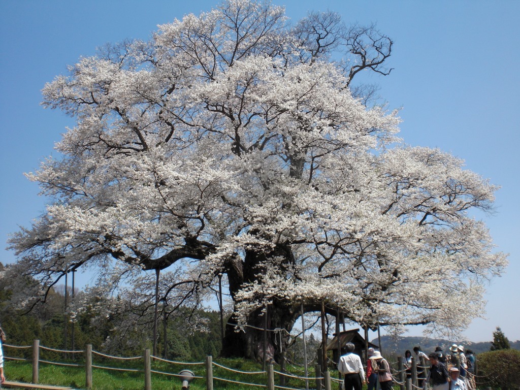 f:id:gomashio-oyaji:20210417150806j:plain