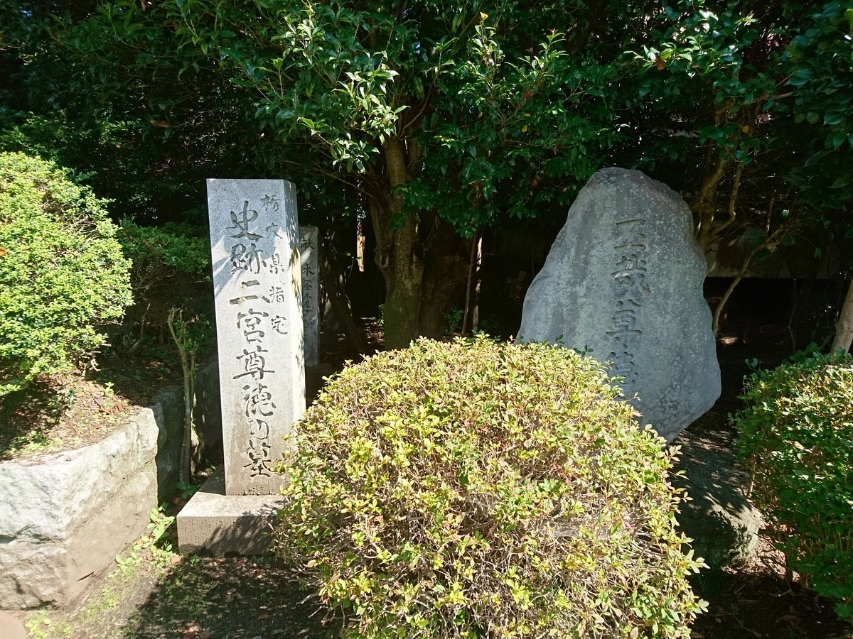 f:id:gomashio-oyaji:20210501213841j:plain