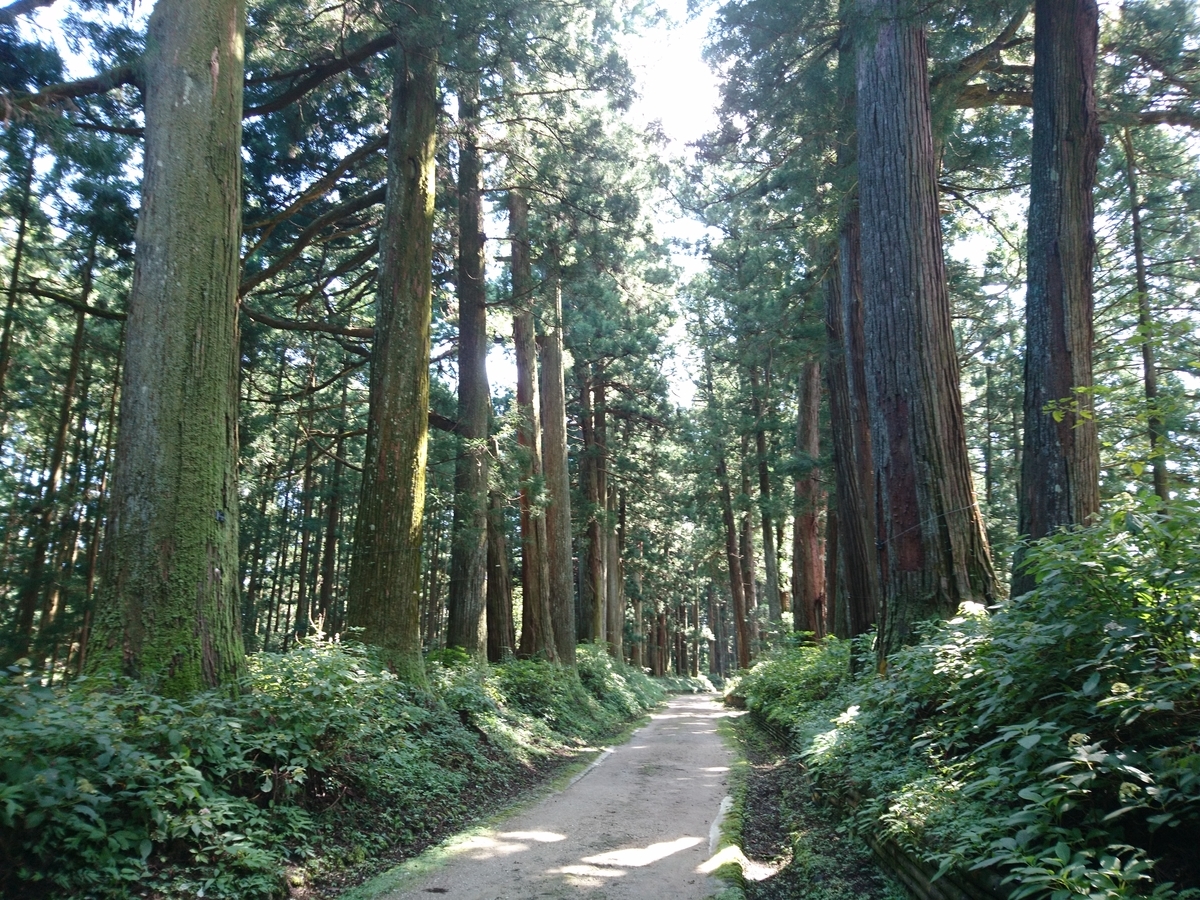 f:id:gomashio-oyaji:20210501214250j:plain