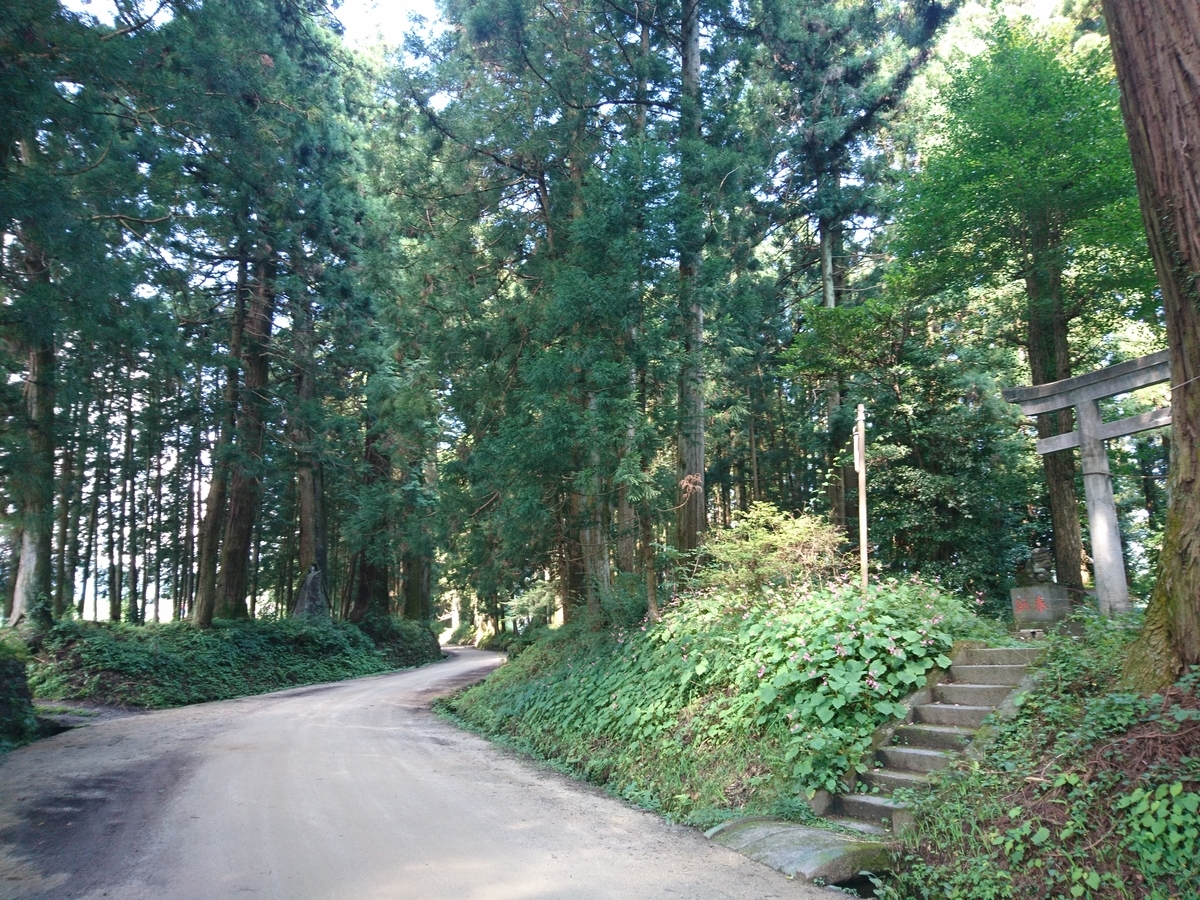 f:id:gomashio-oyaji:20210501214324j:plain