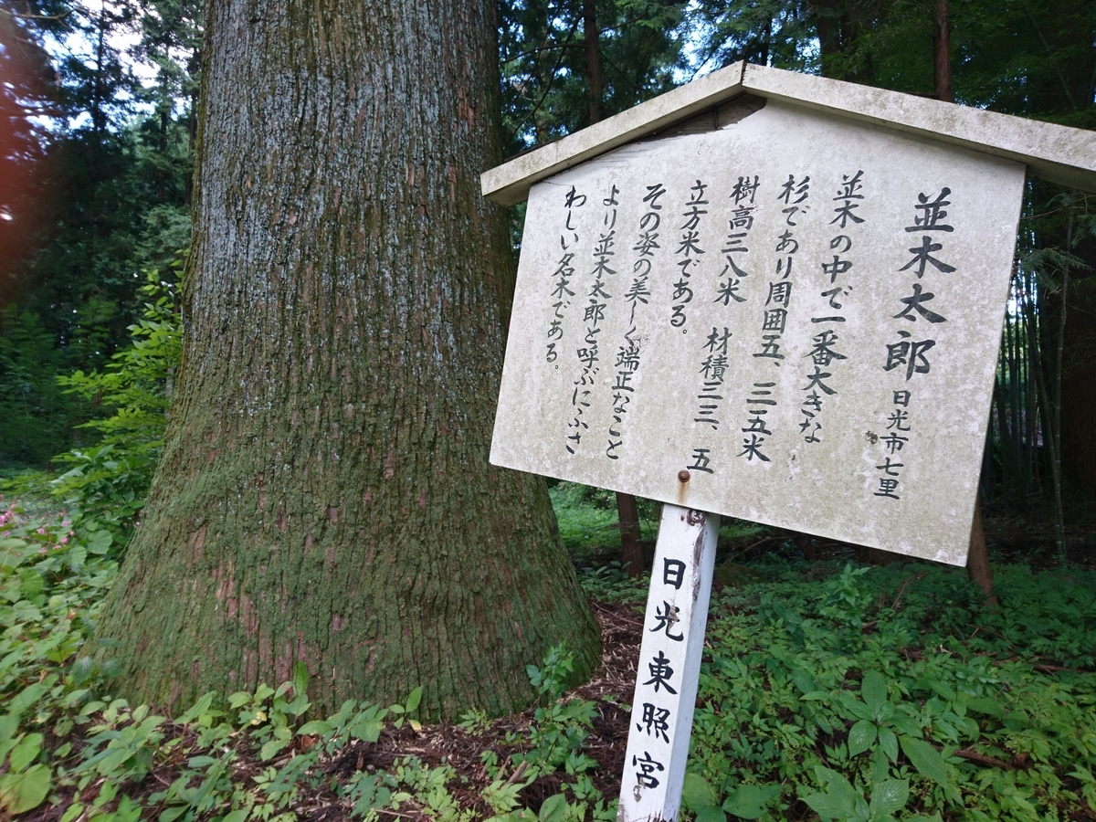 f:id:gomashio-oyaji:20210501215107j:plain