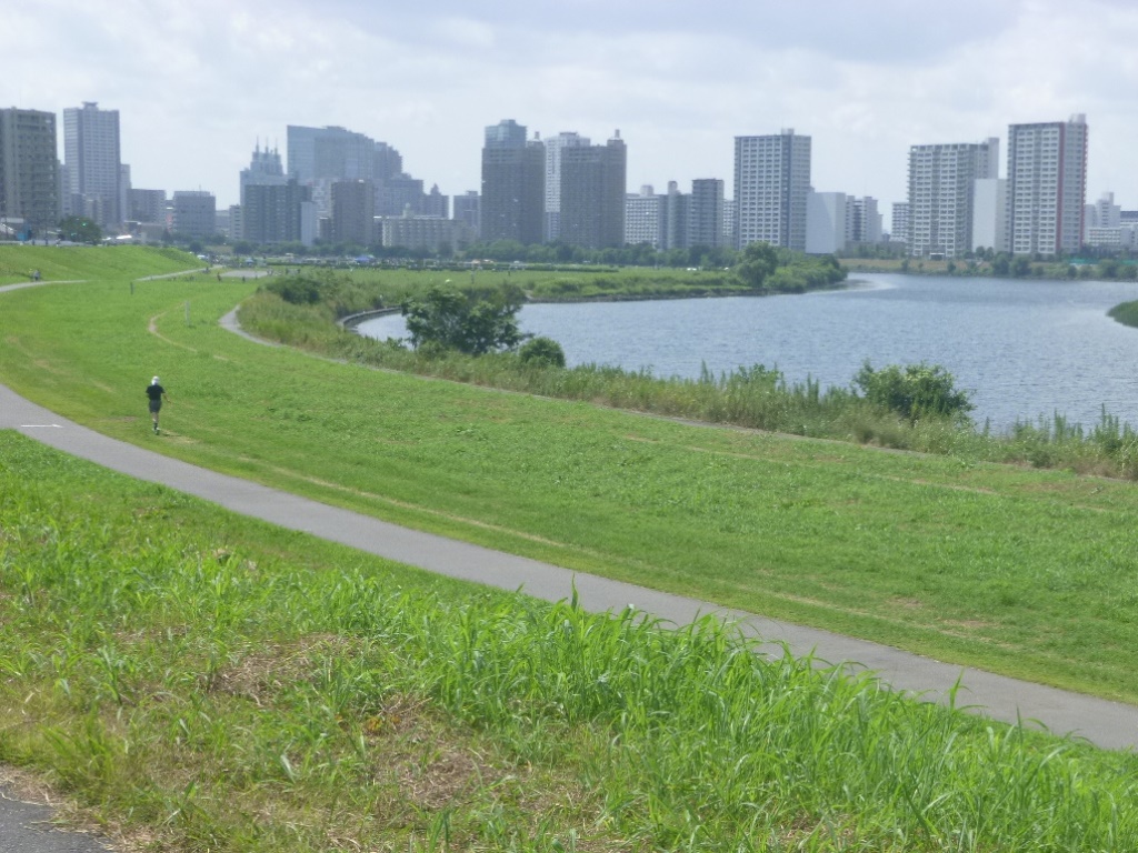 f:id:gomashio-oyaji:20210501220034j:plain