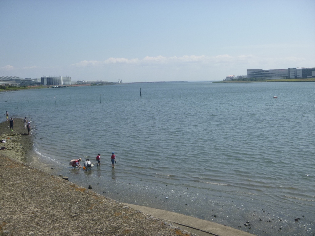 f:id:gomashio-oyaji:20210501220131j:plain