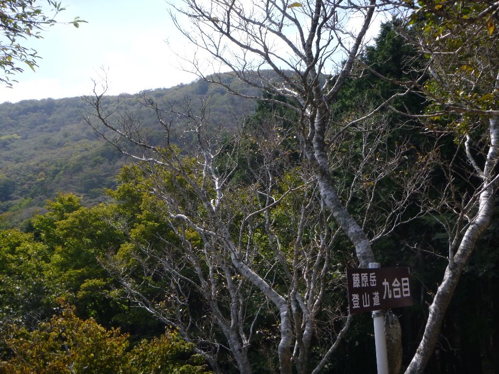f:id:gomashio-oyaji:20210620213812j:plain