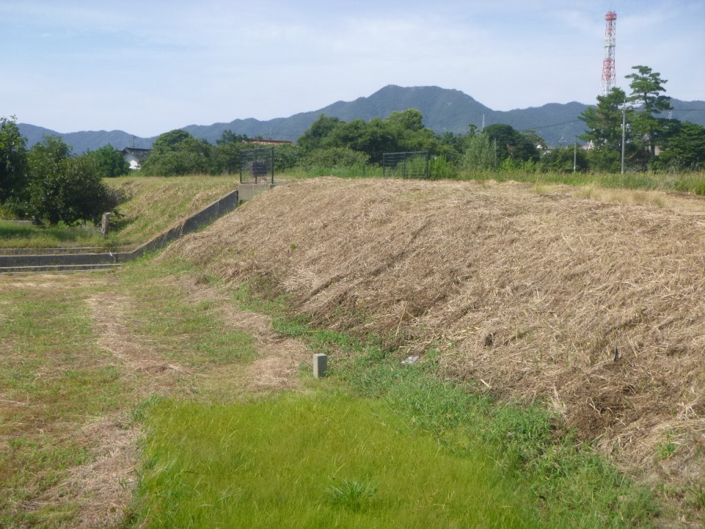 f:id:gomashio-oyaji:20210626195438j:plain