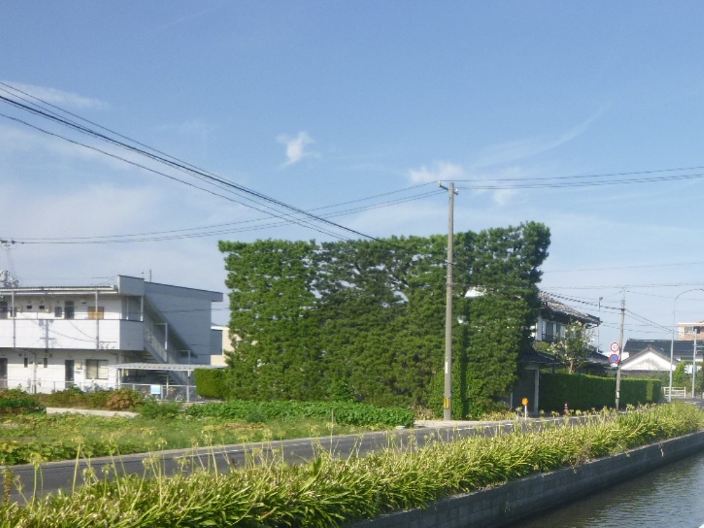 f:id:gomashio-oyaji:20210626200319j:plain