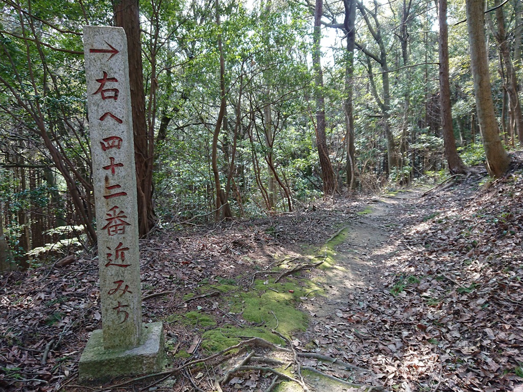 f:id:gomashio-oyaji:20210808191949j:plain