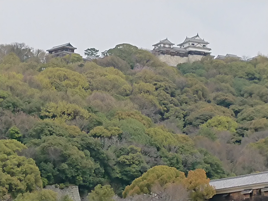 f:id:gomashio-oyaji:20210808193353j:plain