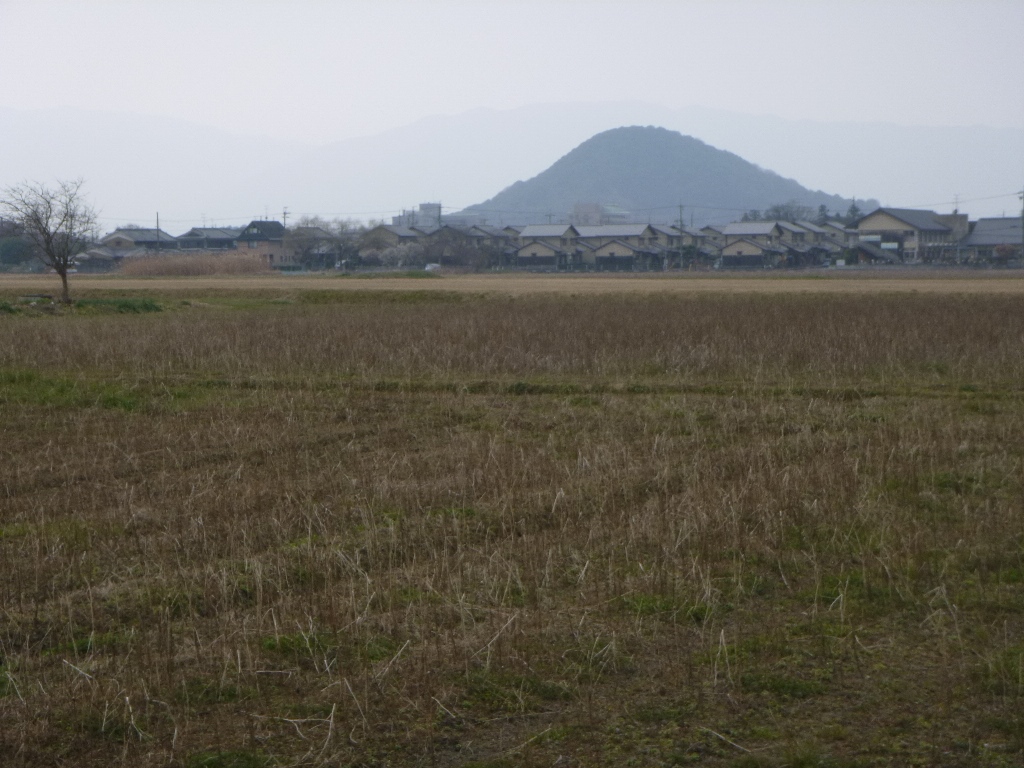 f:id:gomashio-oyaji:20210814161942j:plain