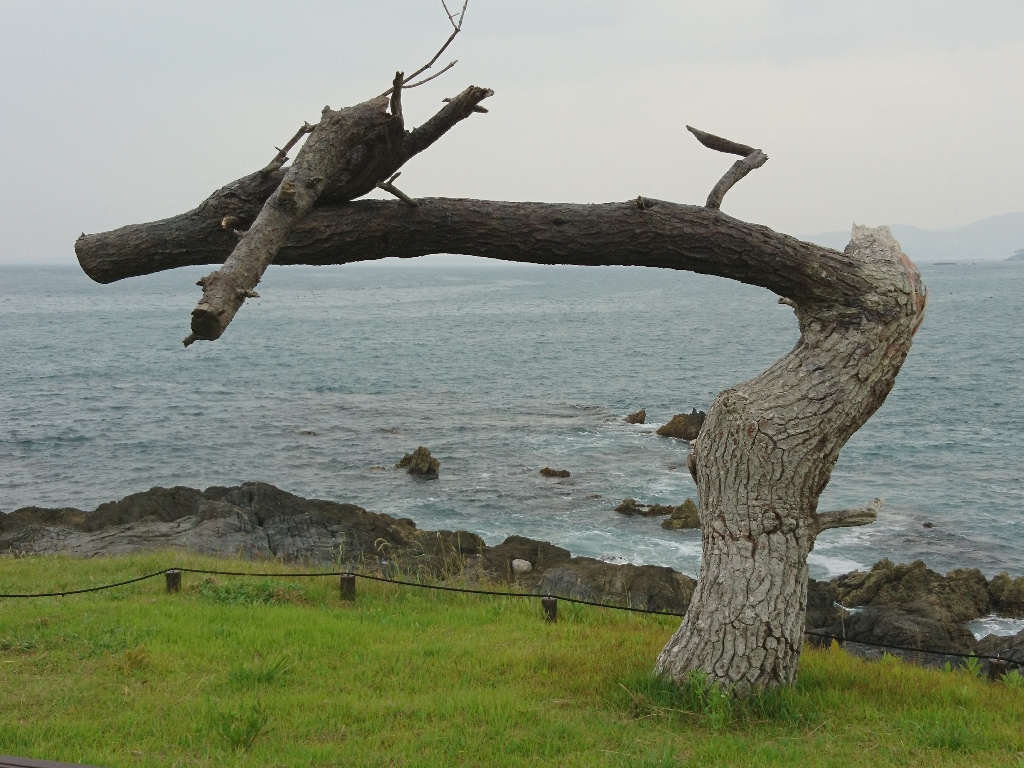 f:id:gomashio-oyaji:20211103085636j:plain