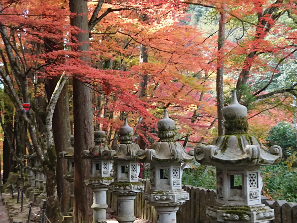 f:id:gomashio-oyaji:20211114210930j:plain