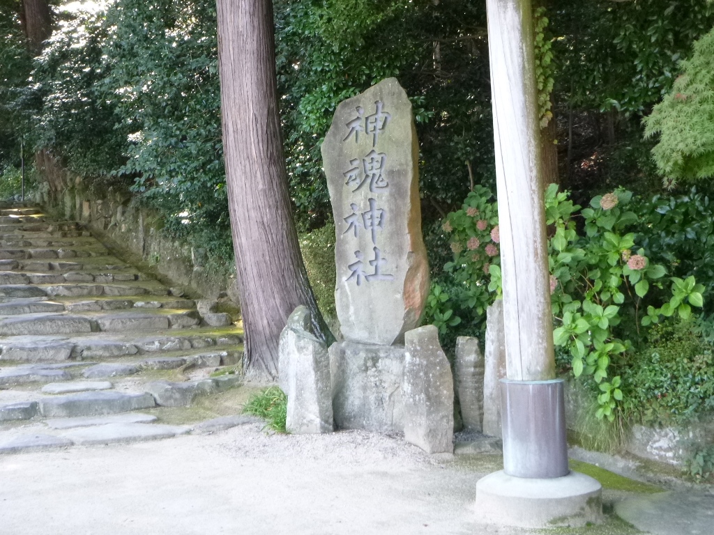 f:id:gomashio-oyaji:20211121085220j:plain