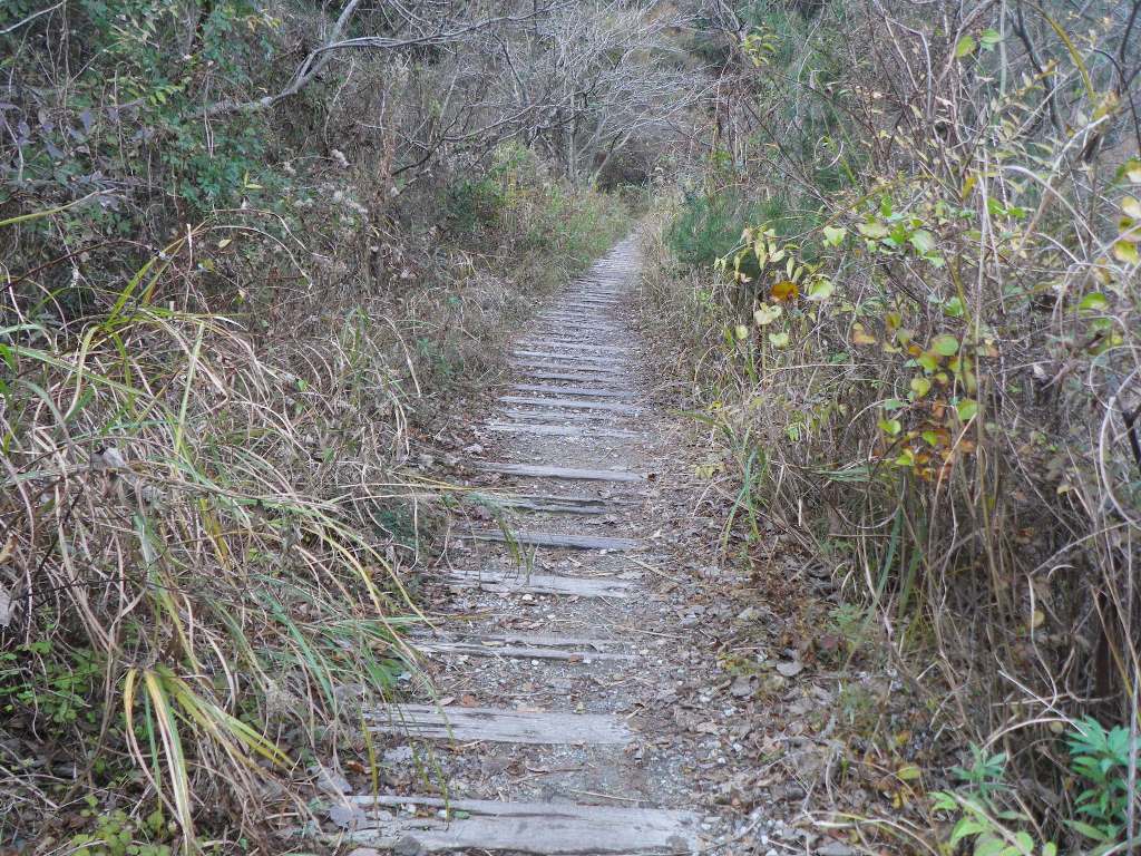 f:id:gomashio-oyaji:20211225100126j:plain