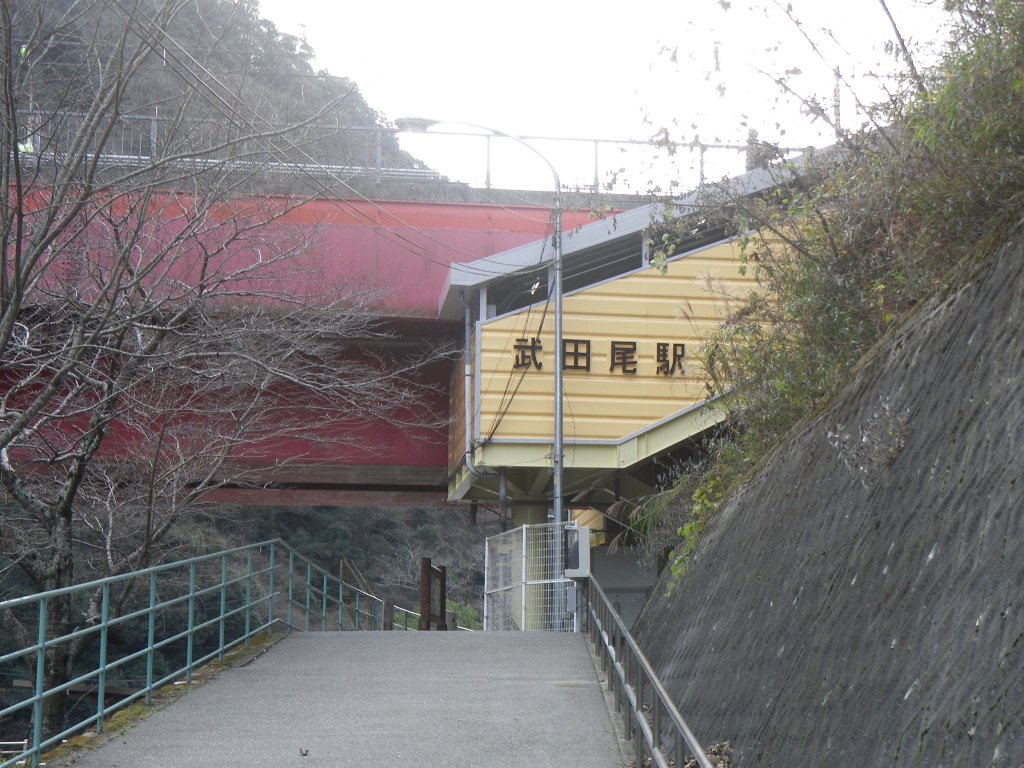 f:id:gomashio-oyaji:20211225100358j:plain