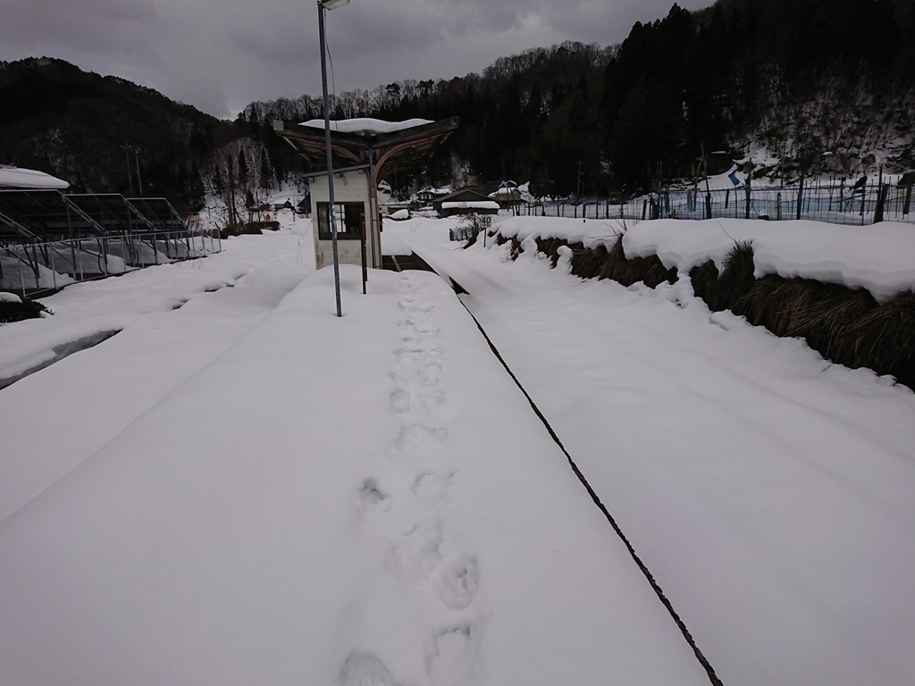 f:id:gomashio-oyaji:20220227080559j:plain